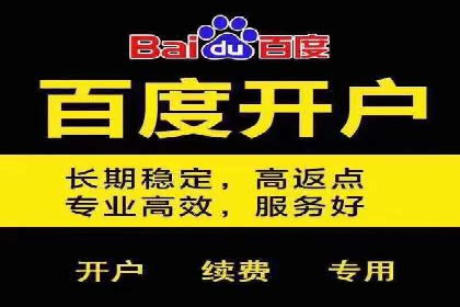 百度推广实战经验分享：案例精选